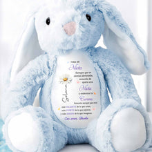 Load image into Gallery viewer, Personalized Stuffed Bunny Custom Name Gift for Granddaughter