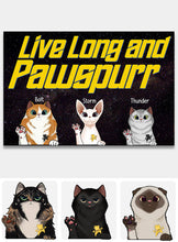 Load image into Gallery viewer, Personalized Star Trek Cat Doormat Custom Name Gift for Pet Lovers
