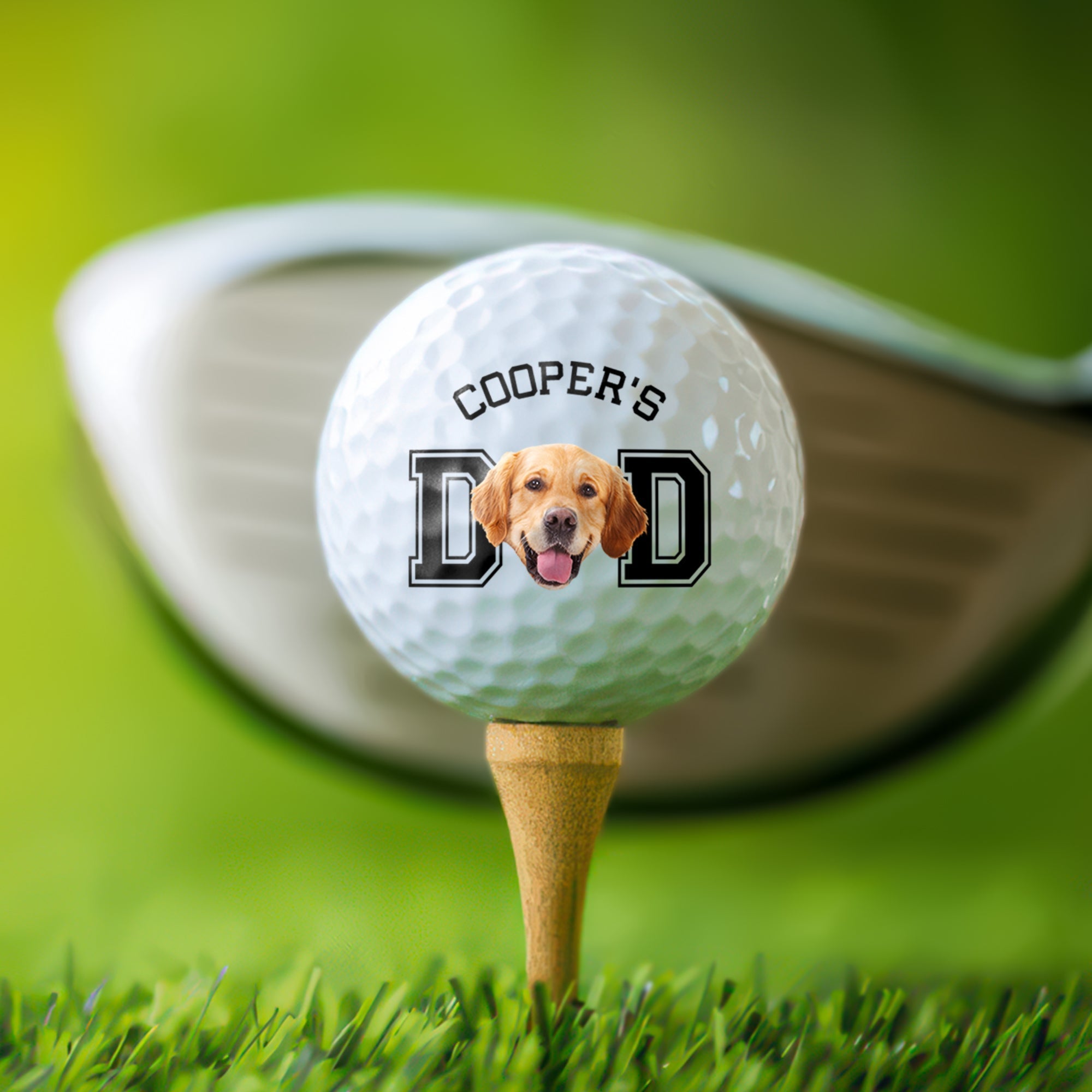 Personalized Photo Golf Ball Gift for Dog Dad or Cat Mom
