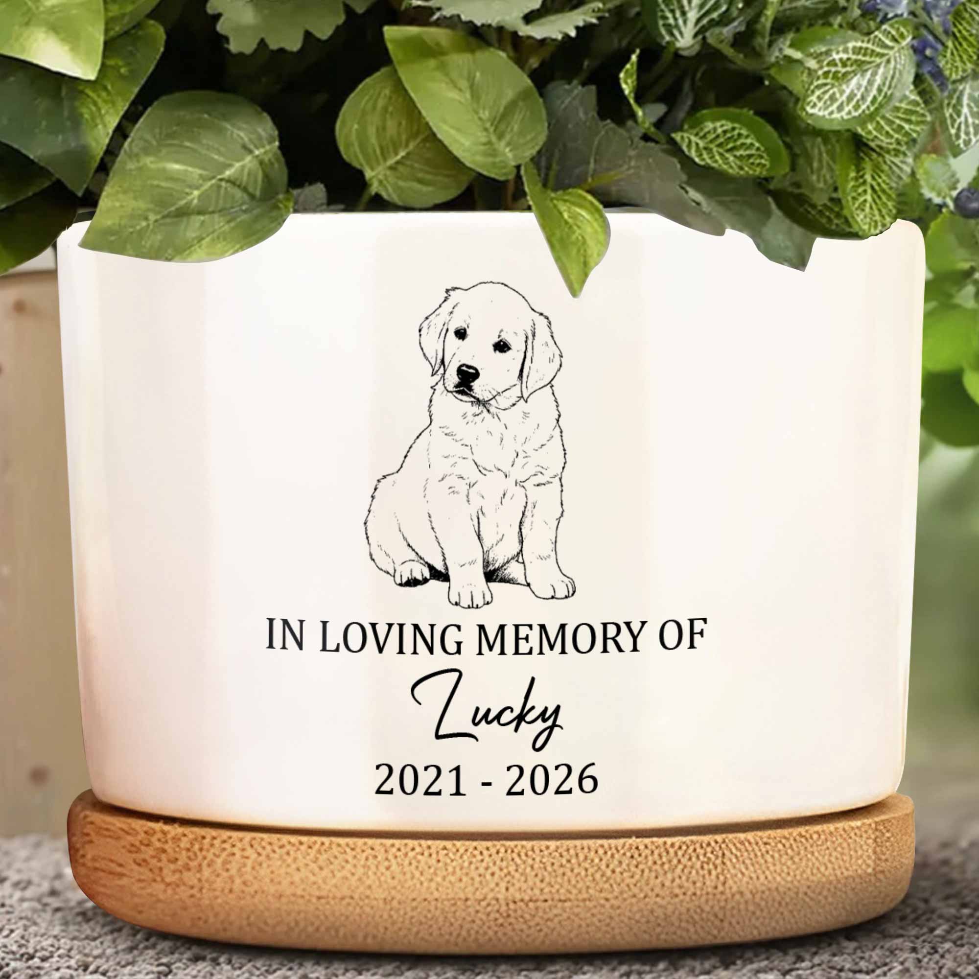 Personalized Memorial Dog Ceramic Plant Pot Custom Gift