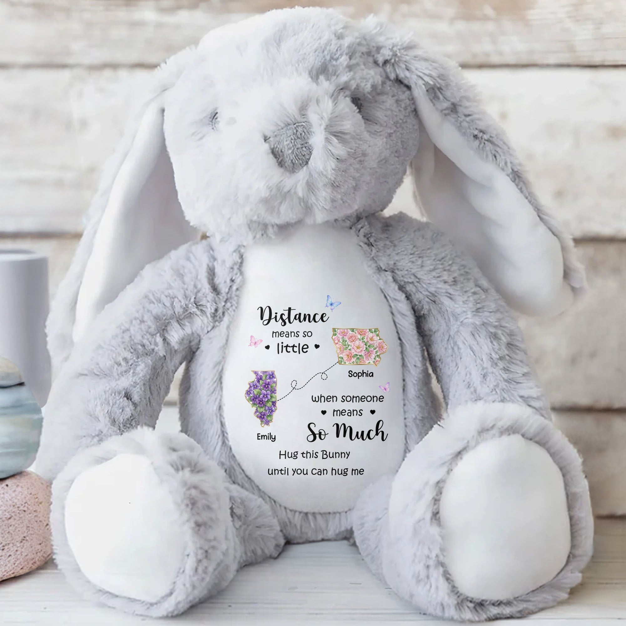 Personalized Plush Stuffed Bunny Custom Name Gift for Sister