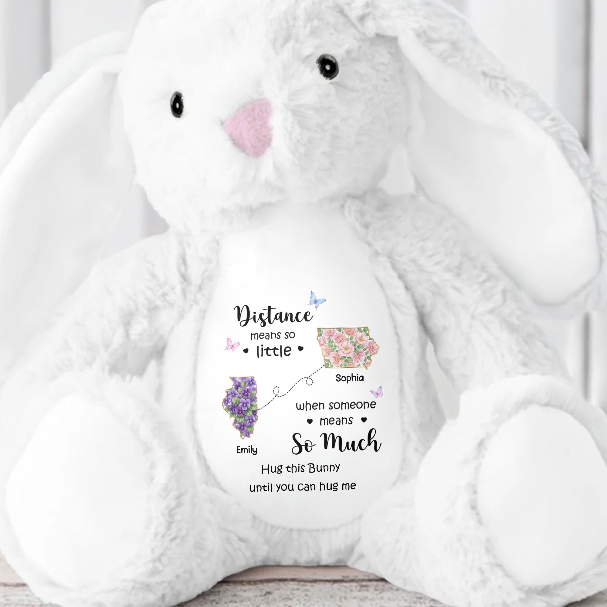 Personalized Plush Stuffed Bunny Custom Name Gift for Sister
