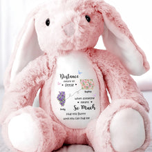 Load image into Gallery viewer, Personalized Plush Stuffed Bunny Custom Name Gift for Sister
