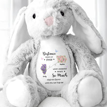 Load image into Gallery viewer, Personalized Plush Stuffed Bunny Custom Name Gift for Sister

