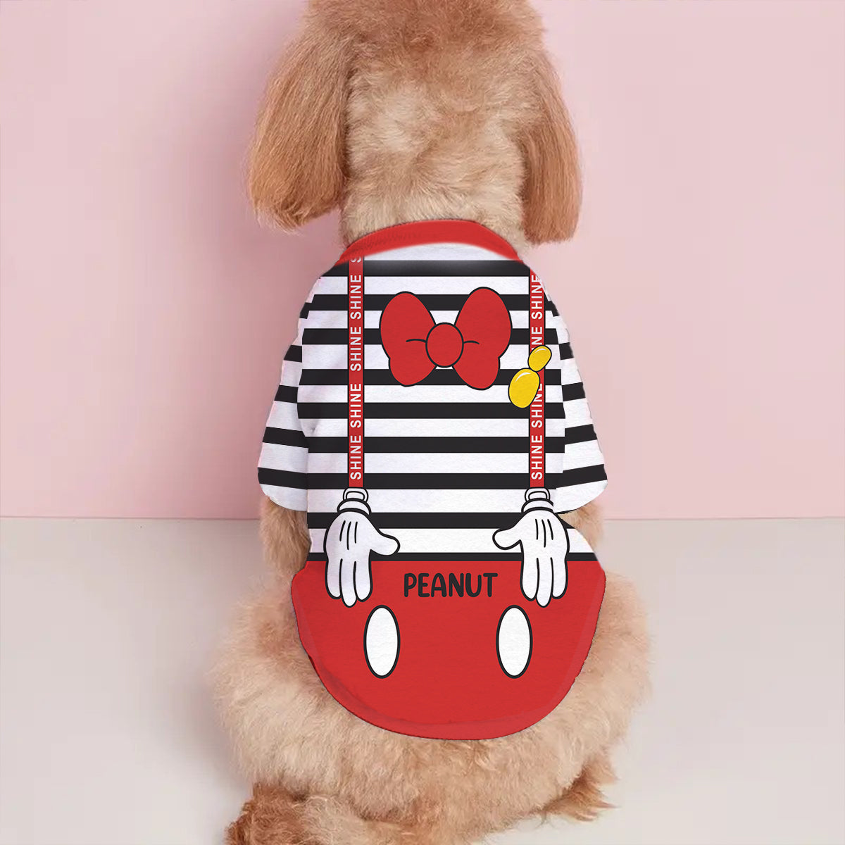 Personalized Halloween Pet Shirt with Mouse Ears Costume for Dogs