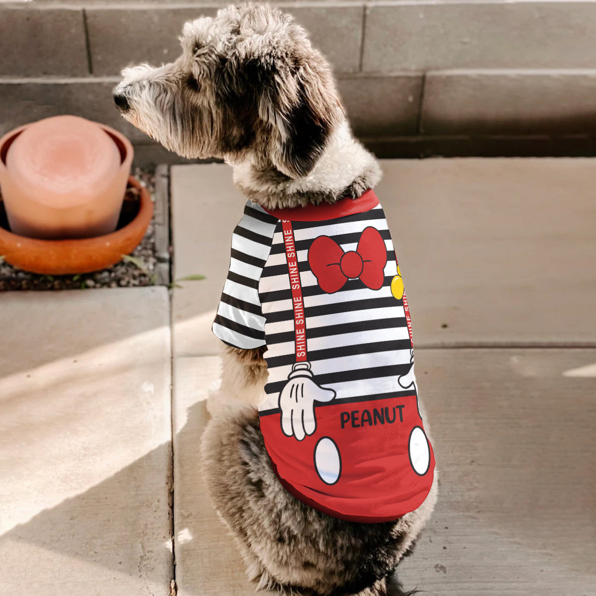 Personalized Halloween Pet Shirt with Mouse Ears Costume for Dogs