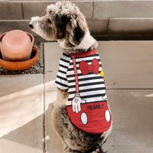 Load image into Gallery viewer, Personalized Halloween Pet Shirt with Mouse Ears Costume for Dogs
