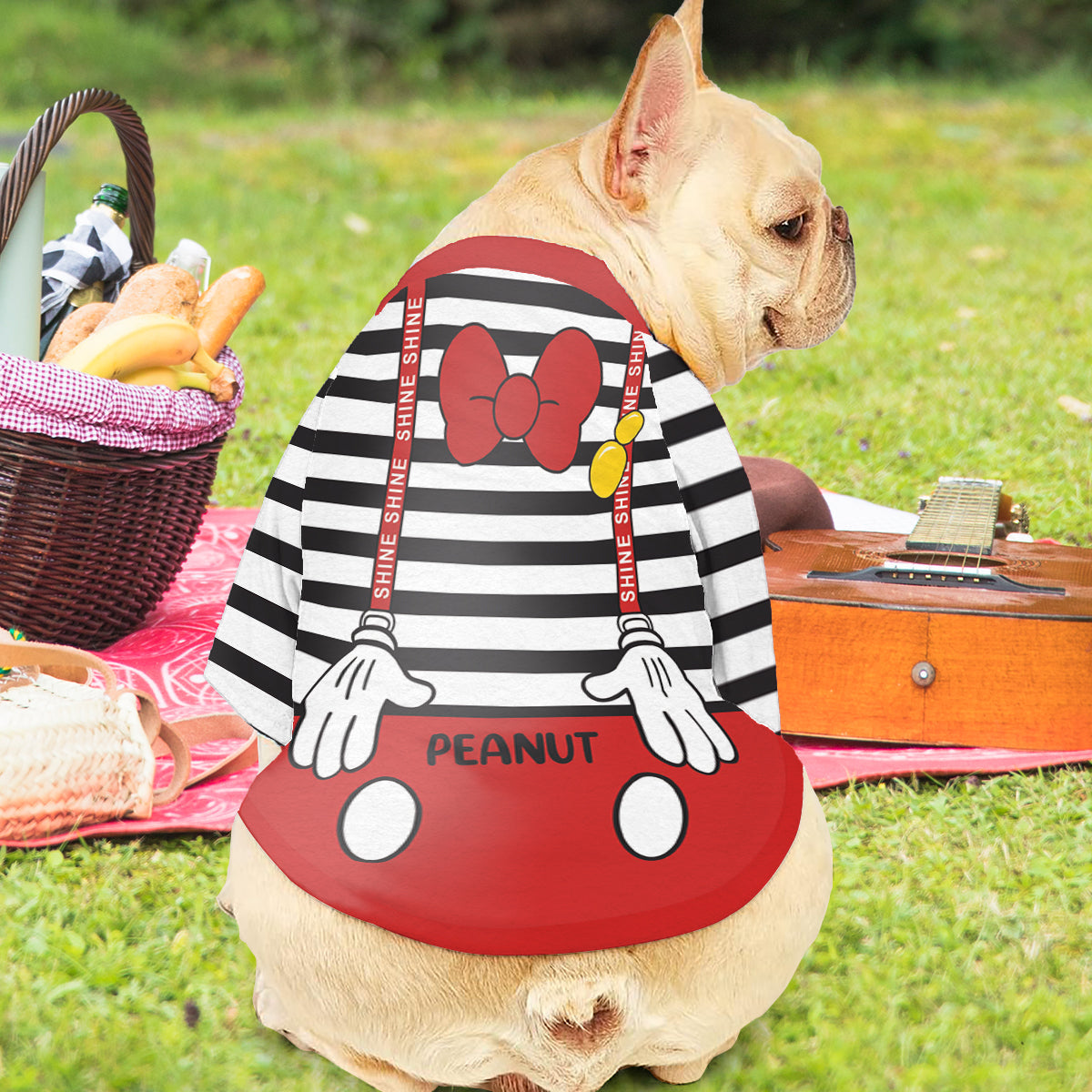 Personalized Halloween Pet Shirt with Mouse Ears Costume for Dogs