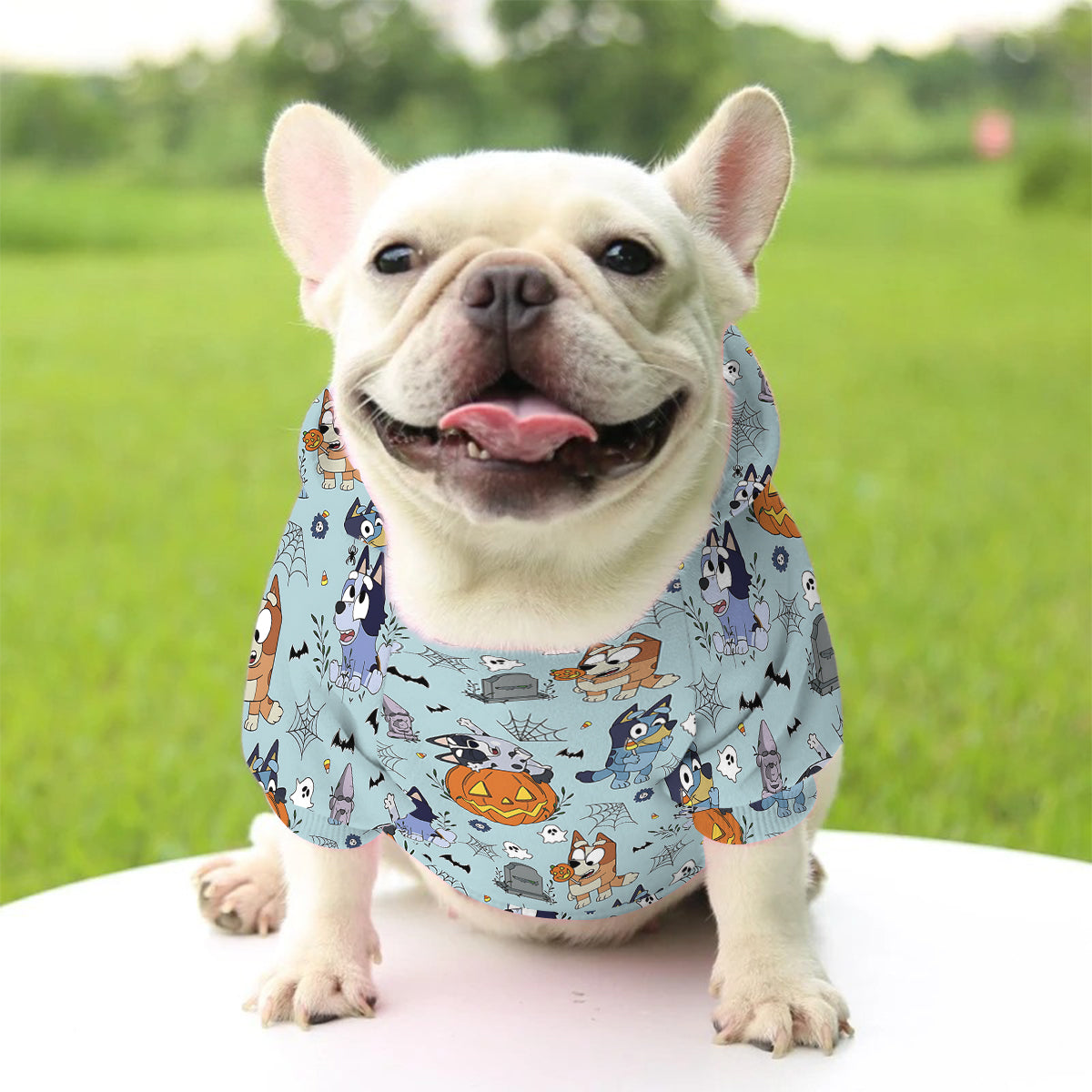 Personalized Halloween Dog Hoodie Cute Booey Design for Pets